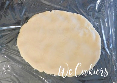 Step 10. Flatten the dough on plastic wrap into a disc shape.