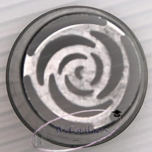 The image shows a Russian piping tip. When you see holes in the middle of these, that means they are representative of and will pipe stamens. This is a cue to make the middle a different color.