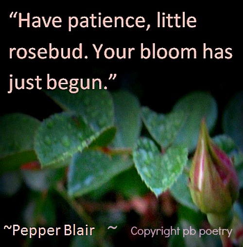 Picture Quote by Pepper Blair Picture quote by Pepper Blair. Have patience. Practice makes perfect. Found at https://www.wecookiers.com/sugar-cookie-icing-recipe.html