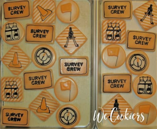 Surveying cookies Hutton surveying cookies